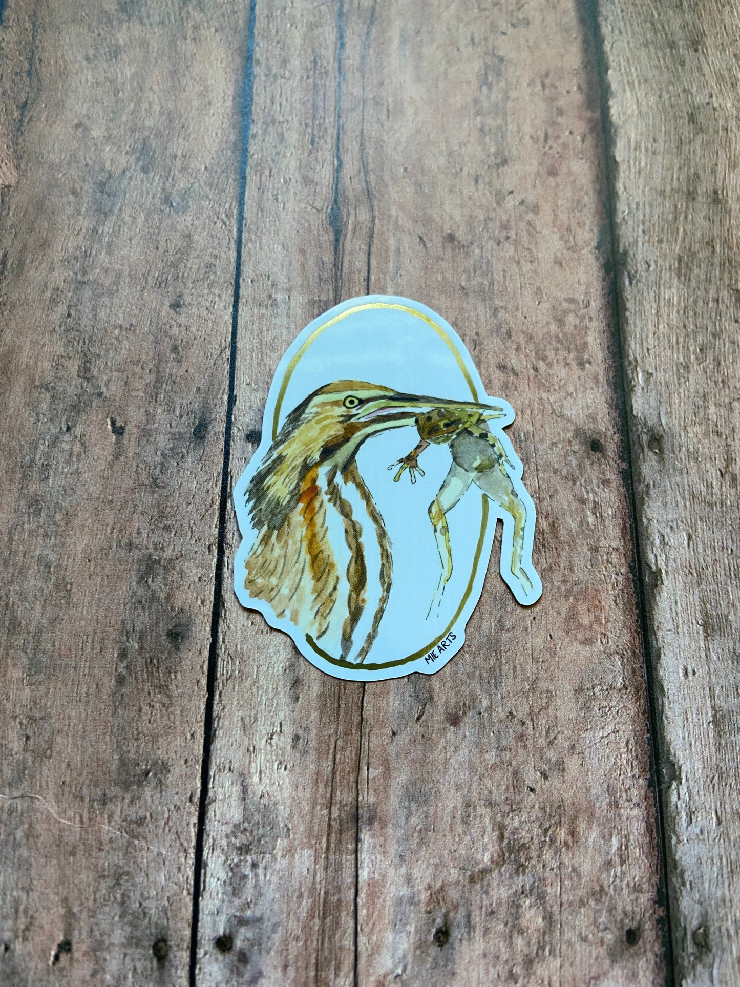 American Bittern Sticker