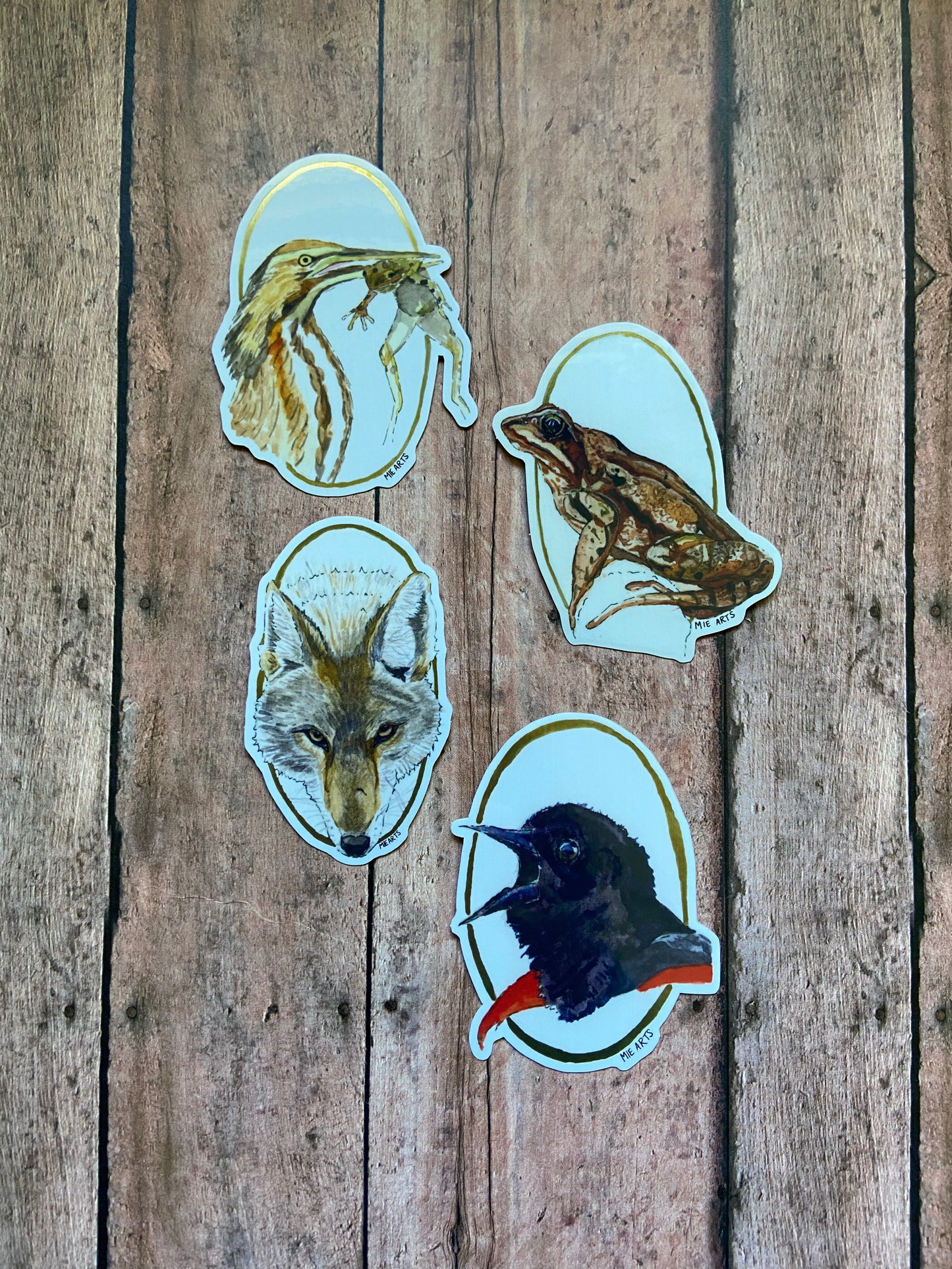 Wood Frog Sticker