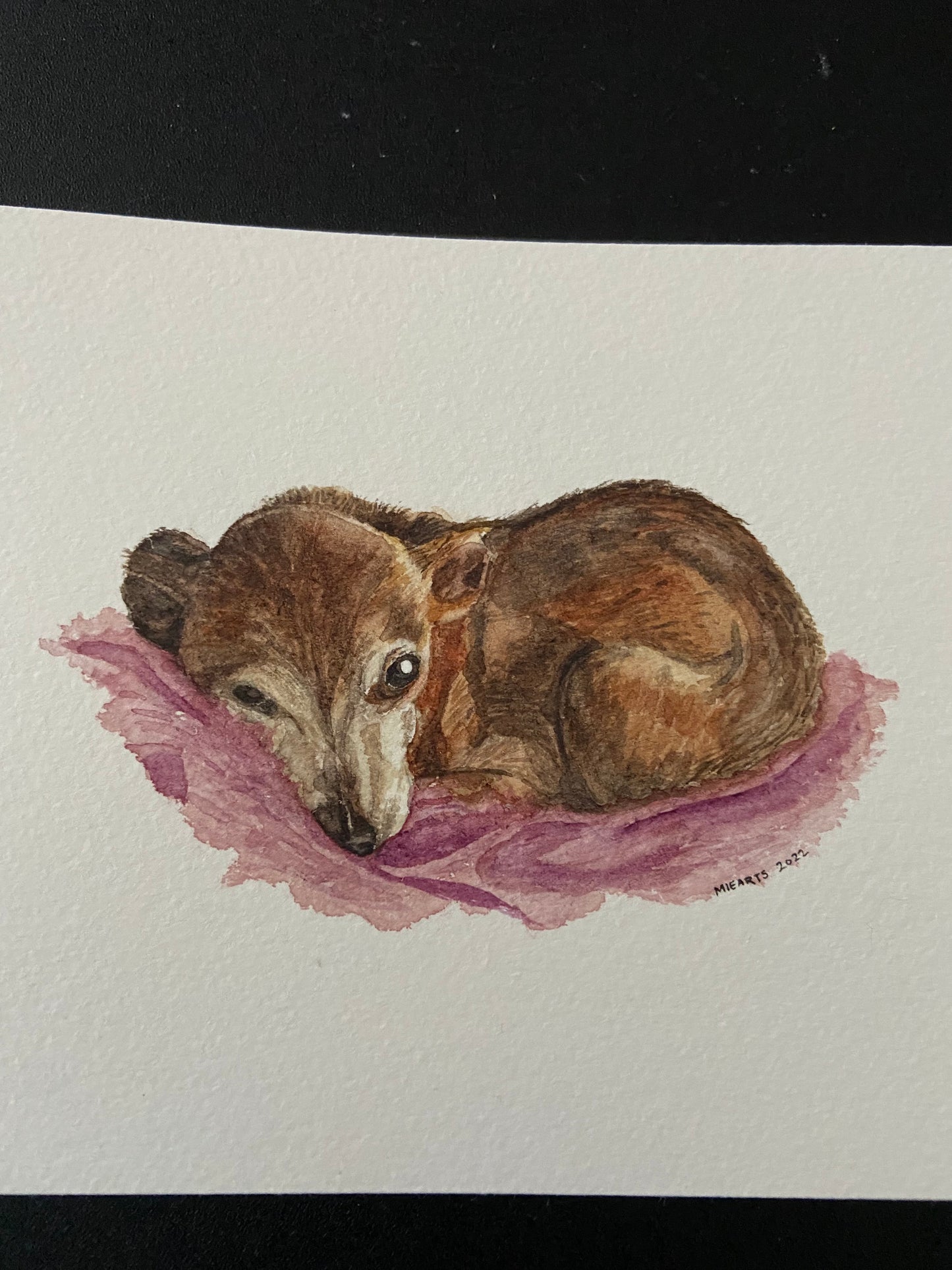 5x7 Painting of Caesar the Chihuahua 