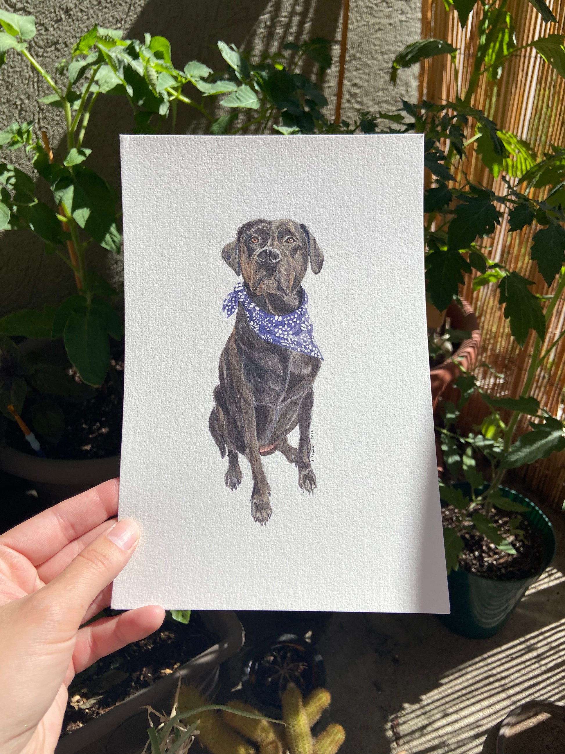 5x7 painting of Luna the Black Lab with a Blue Bandana 