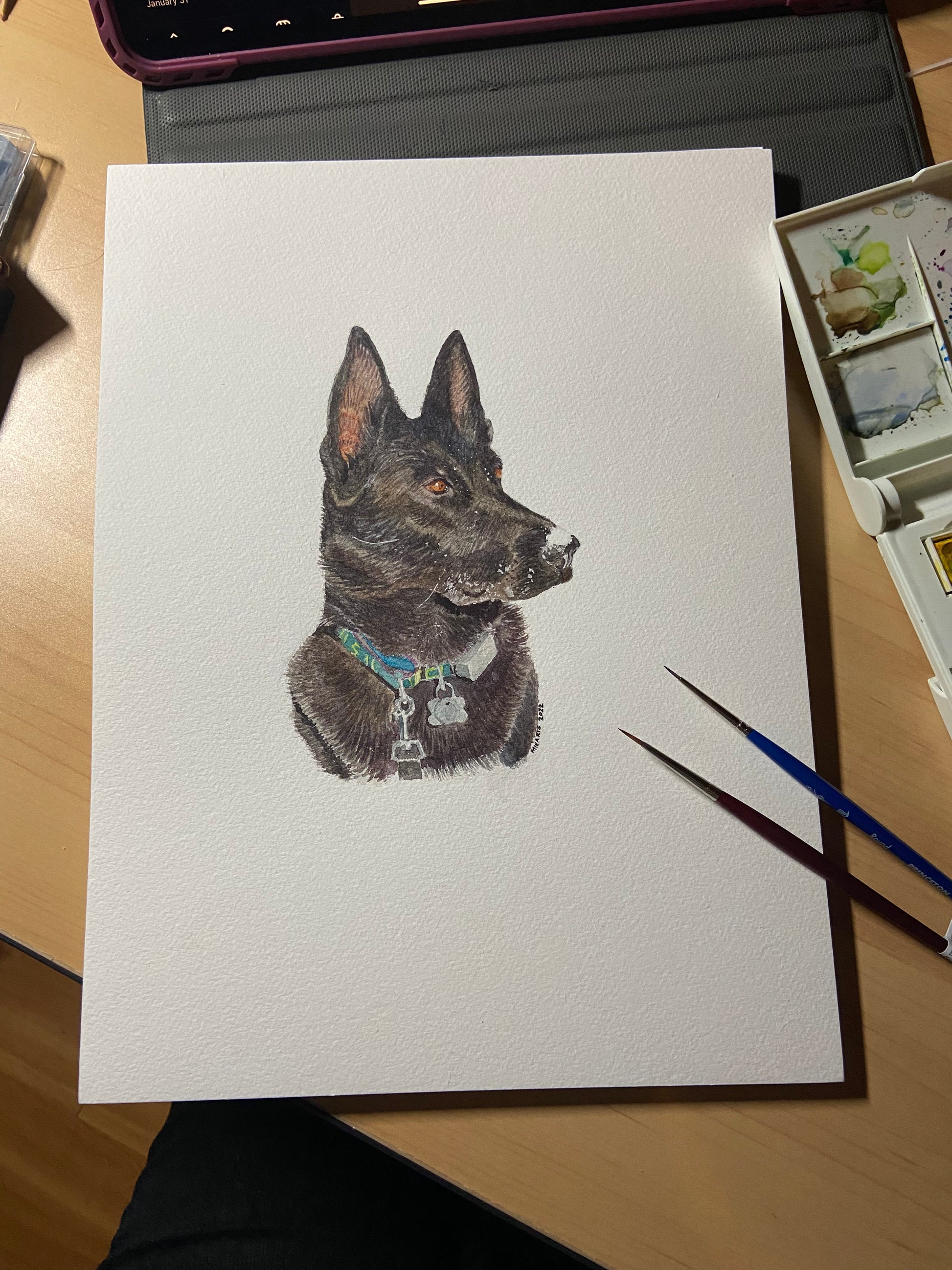 8x10 Painting of Wednesday the Black German Shepard 